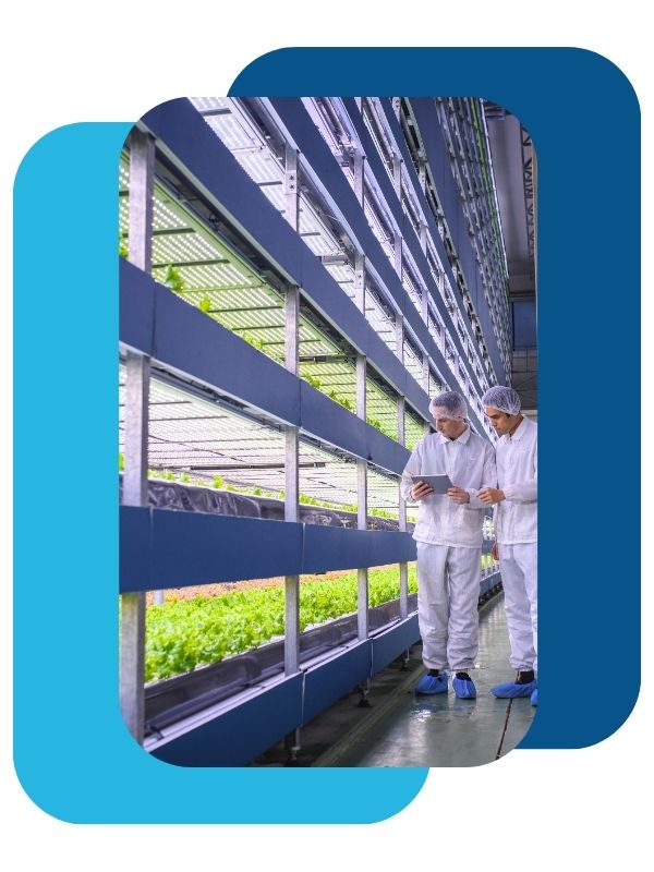 agroalimentaire cercle d'échanges pour les entreprises agroalimentaire du québec